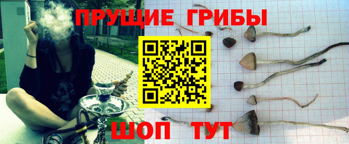 Галлюциногенные грибы Magic Shrooms  закладки  Дедовск  Вход с VPN 